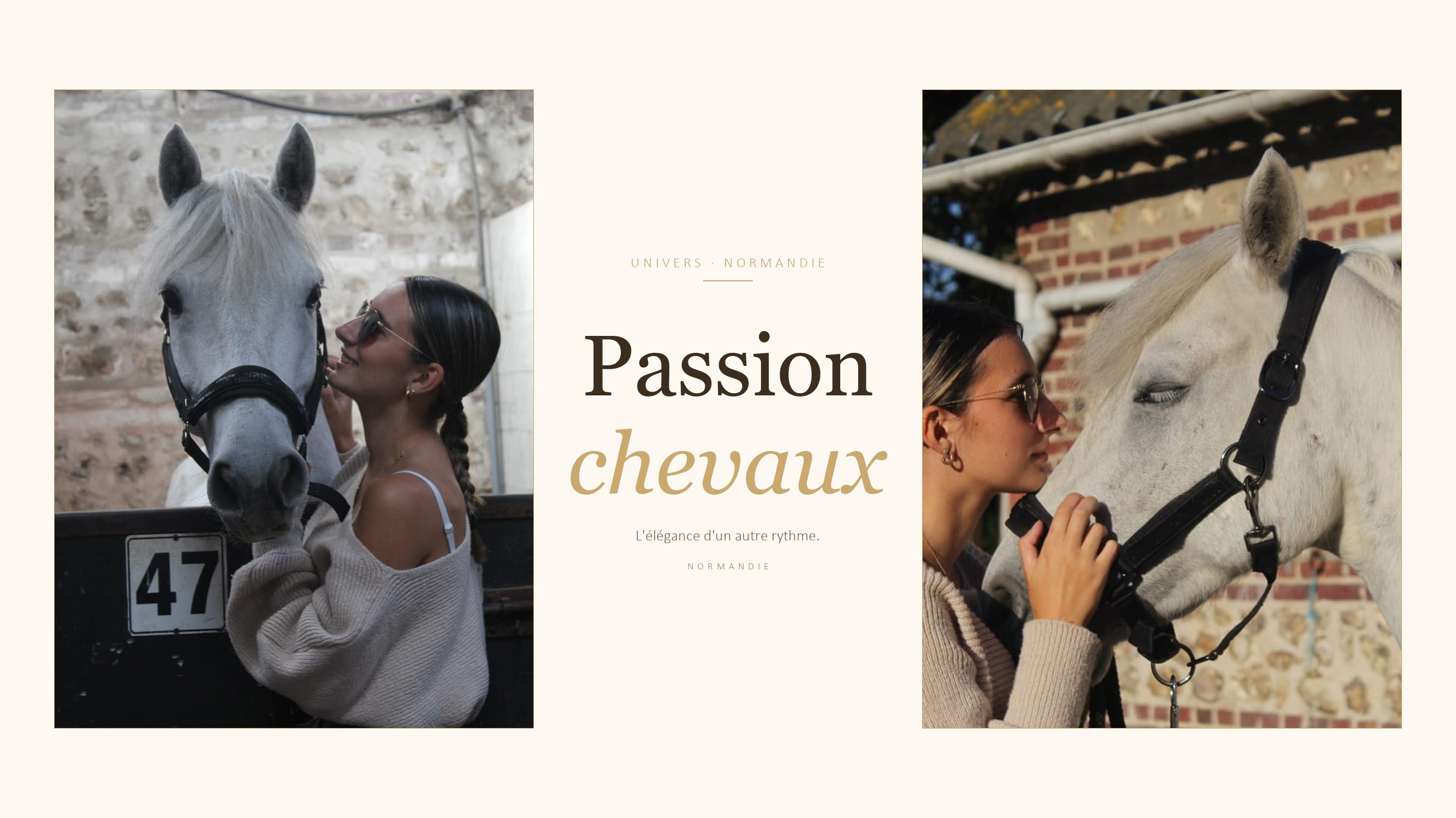 Passion chevaux