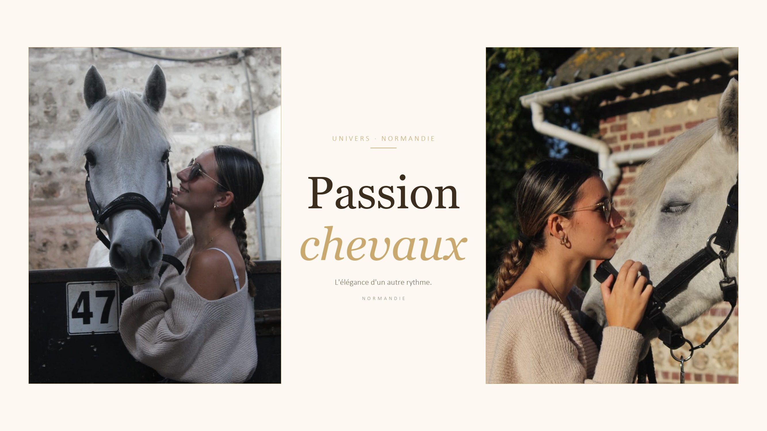 Passion chevaux