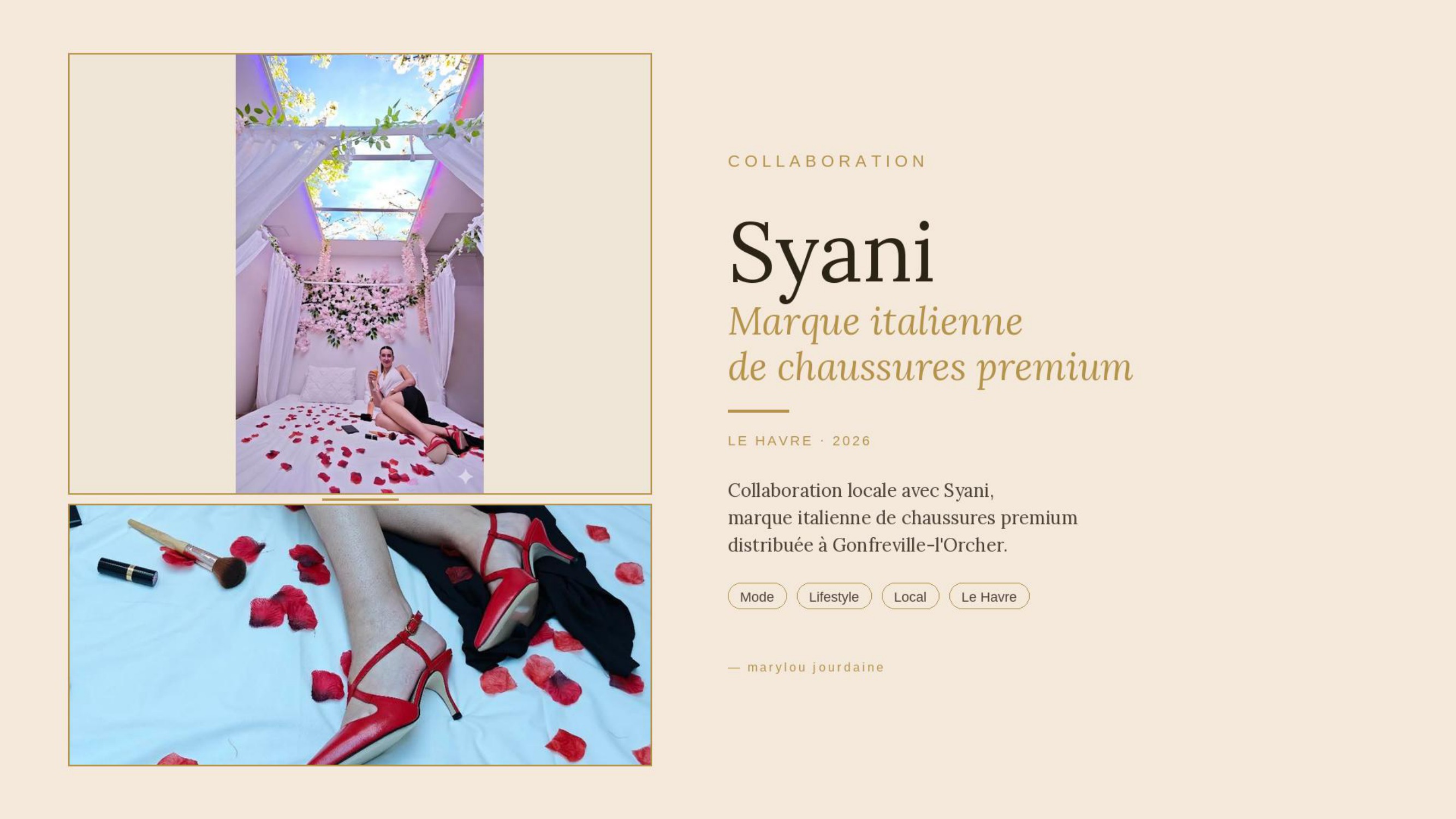 Collaboration Syani 2