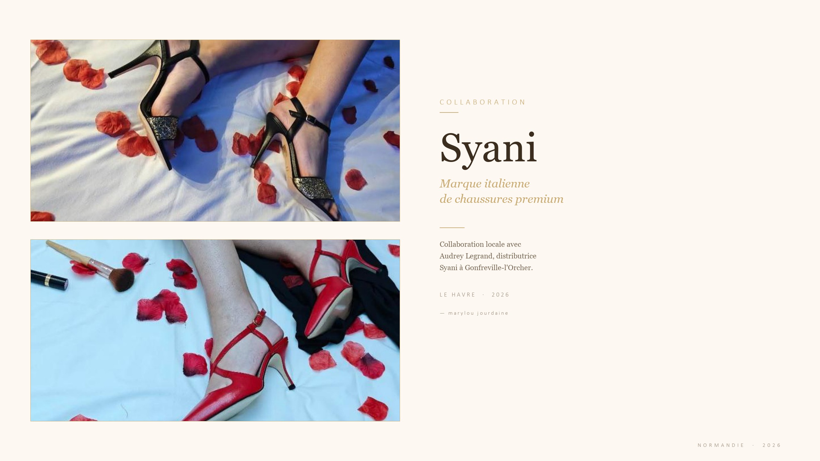 Collaboration Syani